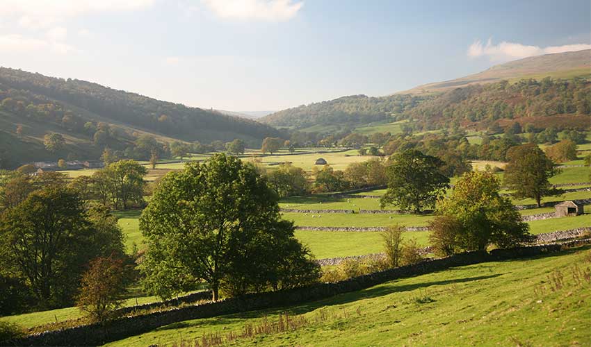 Yorkshire is famous for its stone walls crossing the landscape